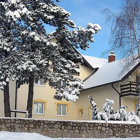 Novak Apartment Zlatibor